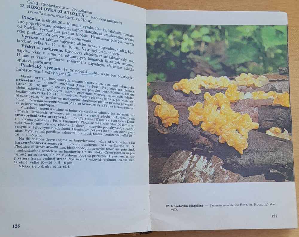 Huby lesov, polí a lúk