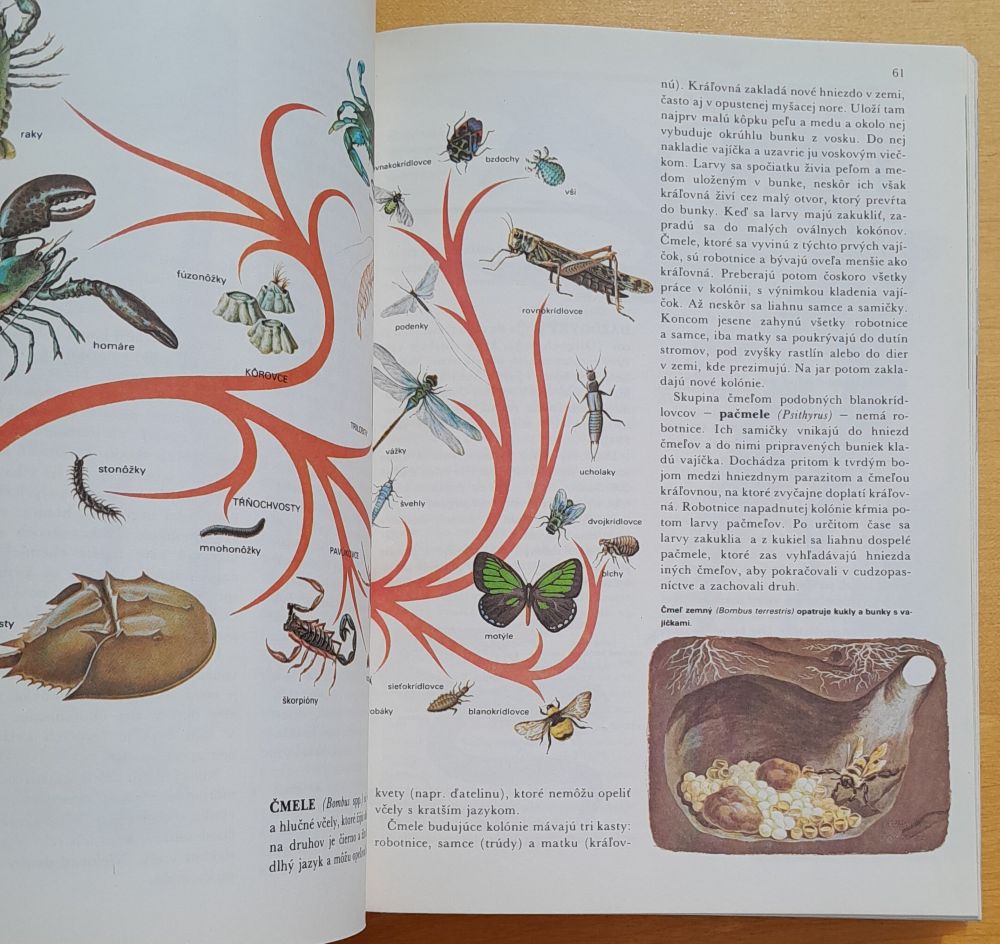 Svet živočíšnej ríše / Ilustrovaná encyklopédia