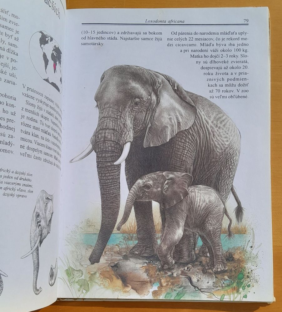 Zvieratá a ich mláďatá v ZOO