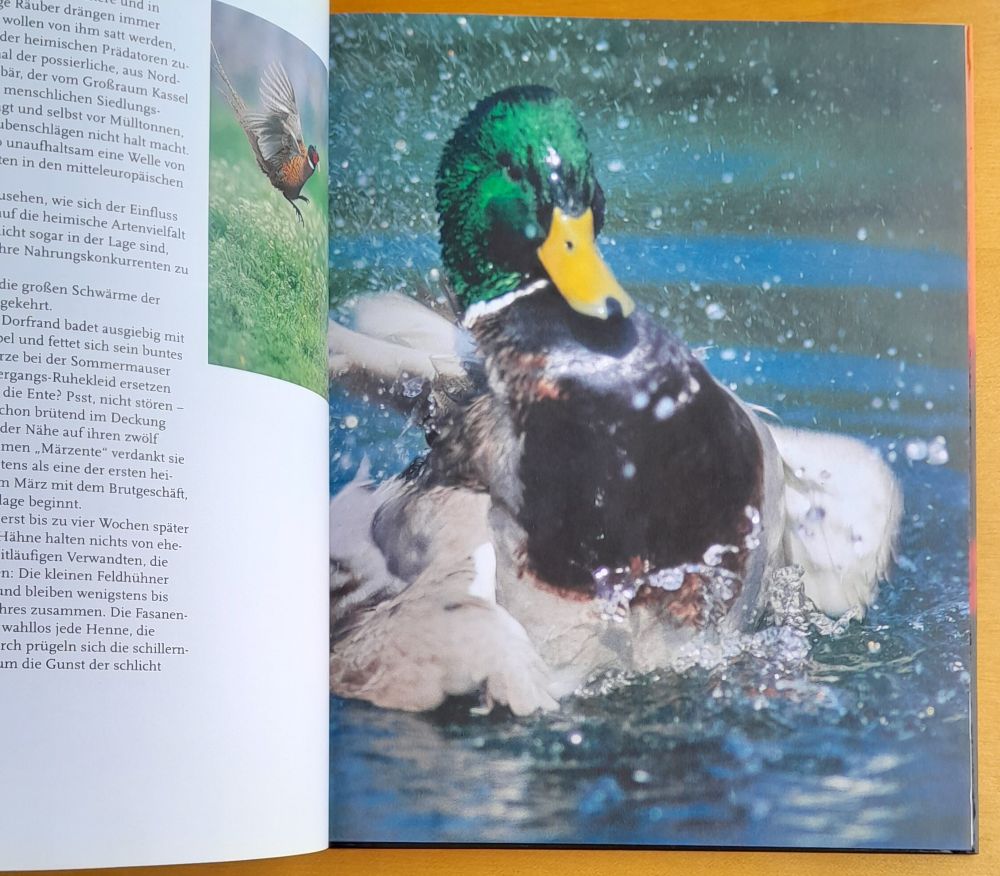 Mit Waidmanns Herzen / Faszinierende Augenblicke der Jagd