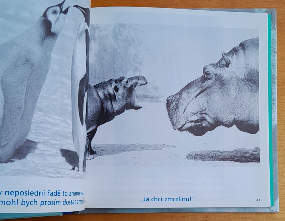 Všechny mámy světa