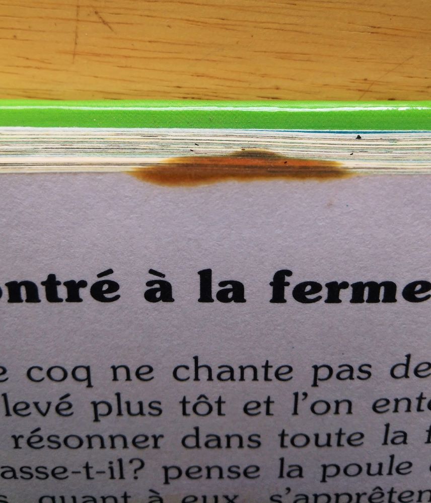 Mon beau livre des Animaux