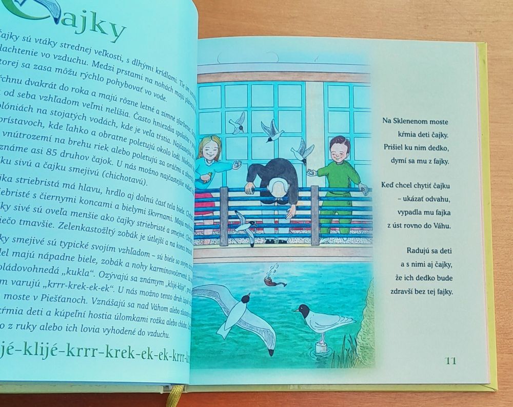 Štebotavé veršíky alebo Čo vieme o vtákoch