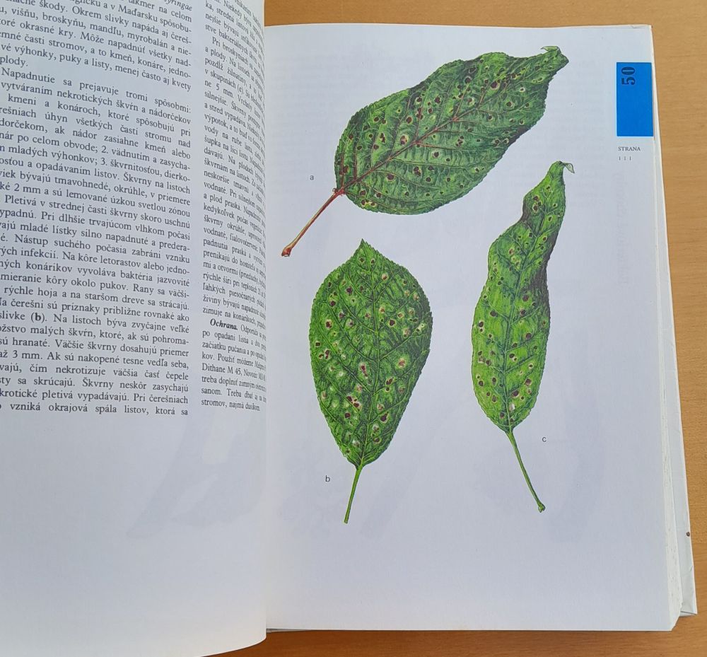Atlas chorôb a škodcov ovocných drevín a viniča