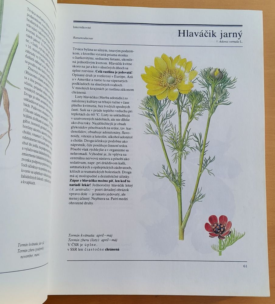 Veľká kniha liečivých rastlín