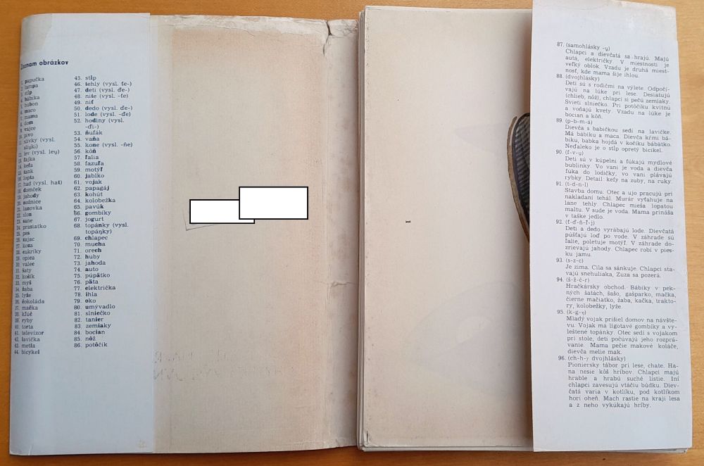 Fonetika a metodika nápravy chybnej výslovnosti