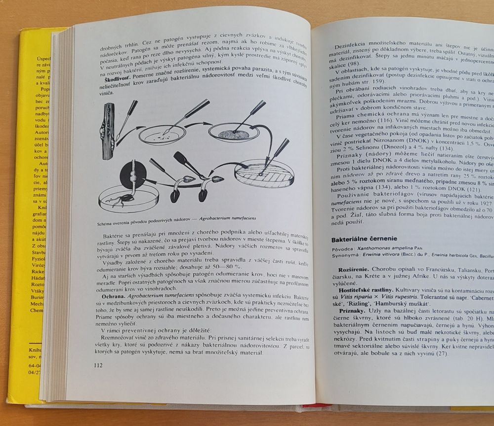 Ochrana viniča / Edícia Rastlinná výroba