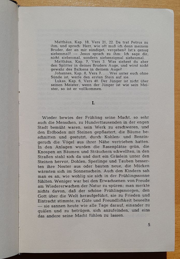 Auferstehung - Vzkriesenie - Román