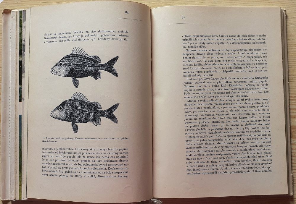 Expedícia Cayo Largo