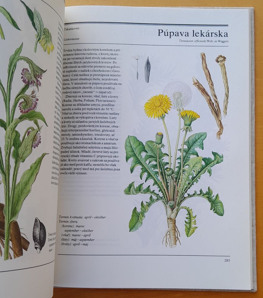 Veľká kniha liečivých rastlín
