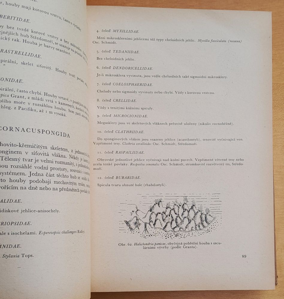 Zoologie bezobratlých I.