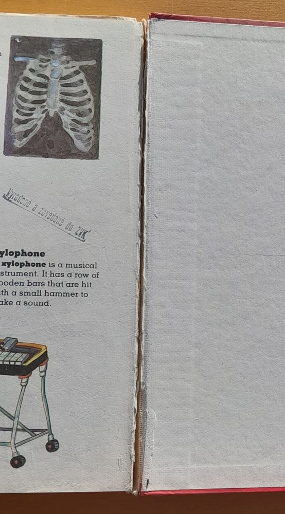 Children's picture dictionary