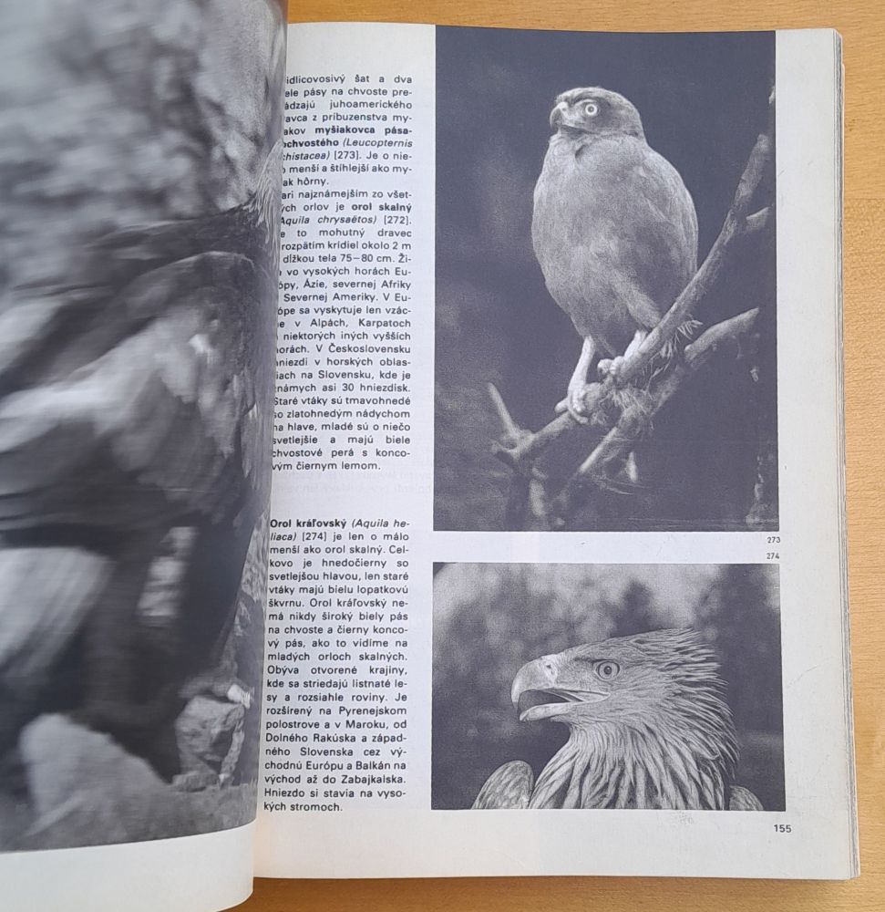 Veľký obrazový atlas vtákov