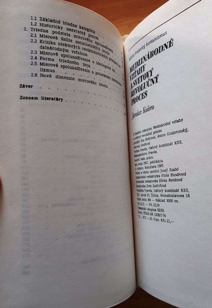 Medzinárodné vzťahy a svetový revolučný proces