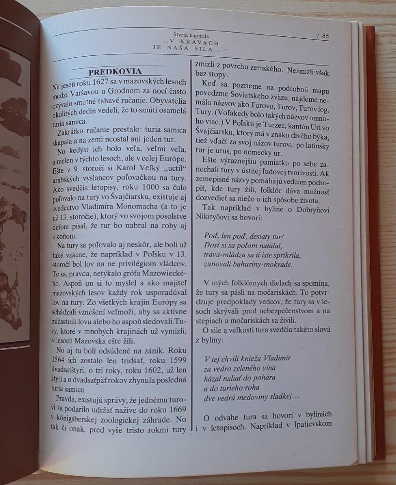 Zachránili husi Rím?