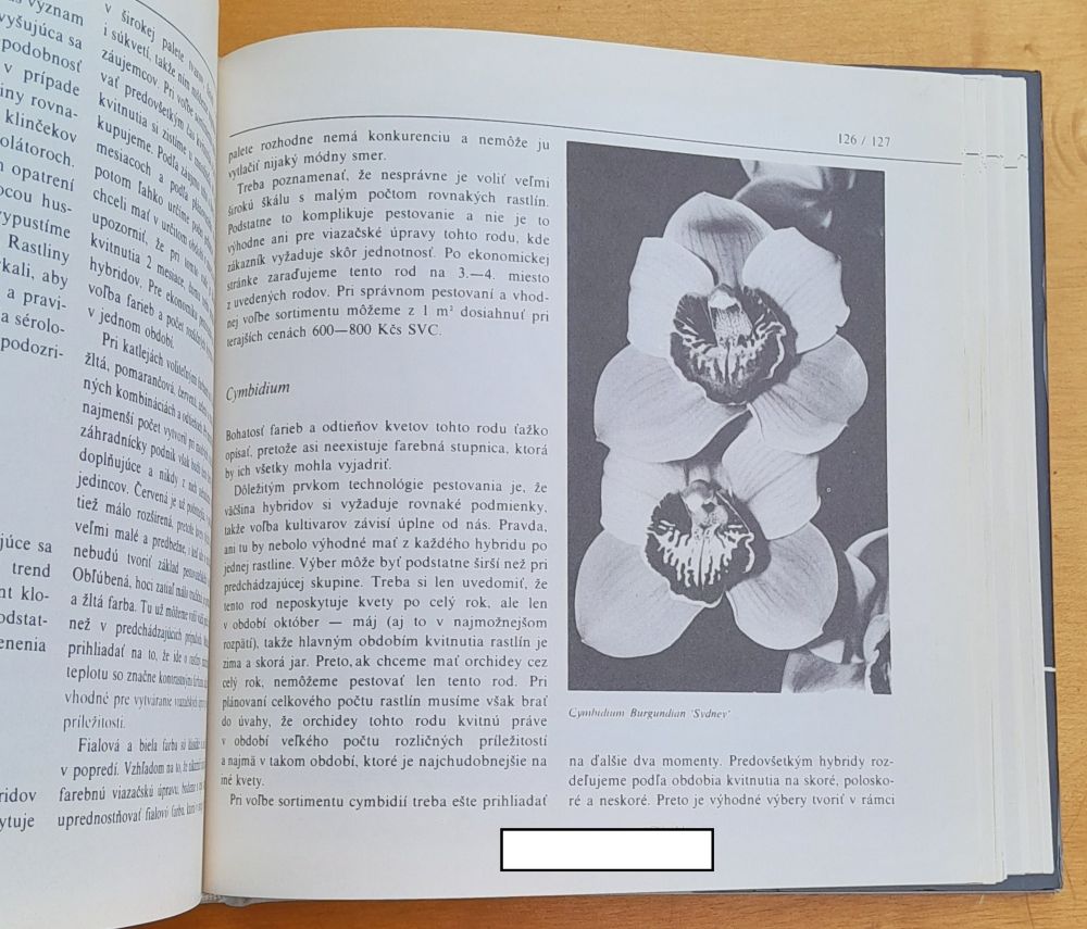 Orchidey (starostlivosť a pestovanie o ne)