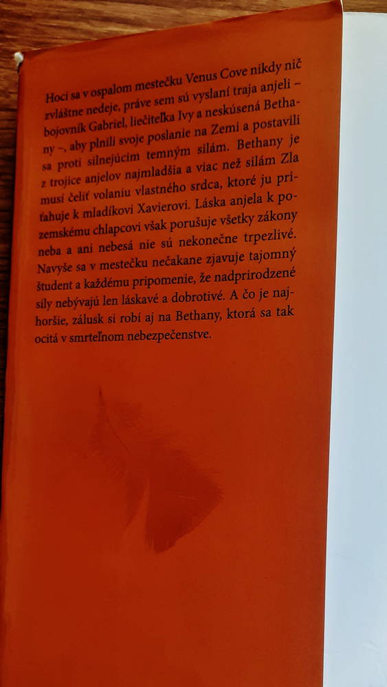 Záblesk / Anjeli prišli medzi nás...