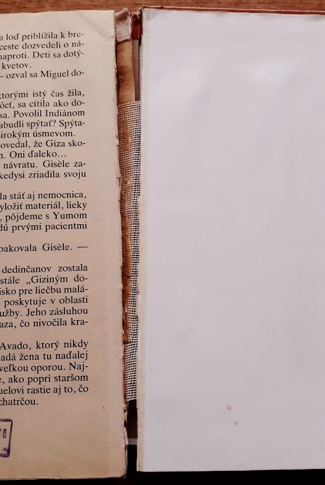 Zachránený život / Séria dievčatá v bielom / Čajka