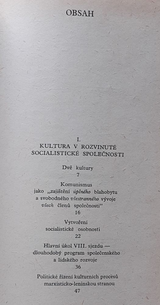 Kultura v životě společnosti 