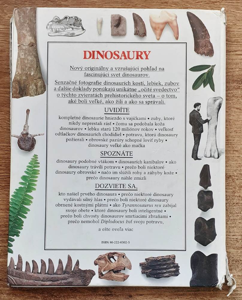 Dinosaury / David Norman / Angela Milner