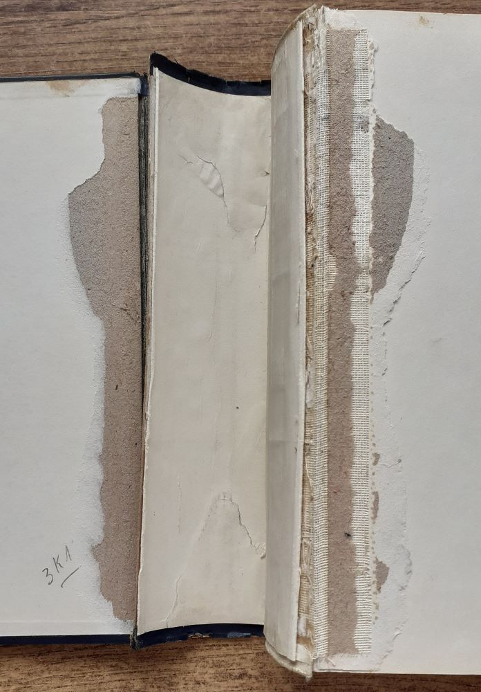 Leben Michelangelos / Vollständige ausgabe