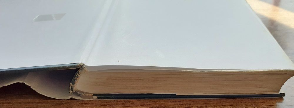 Sezóna potkanov / Časy sa menia, potkany nie