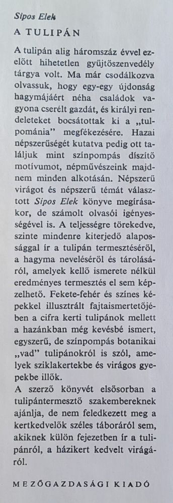 A tulipán