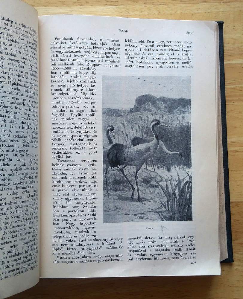 Az Állatok Világa / Život zvierat