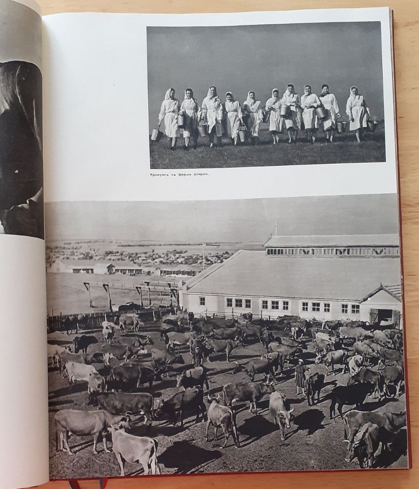 Ukraina sogodni / Fotoalbum