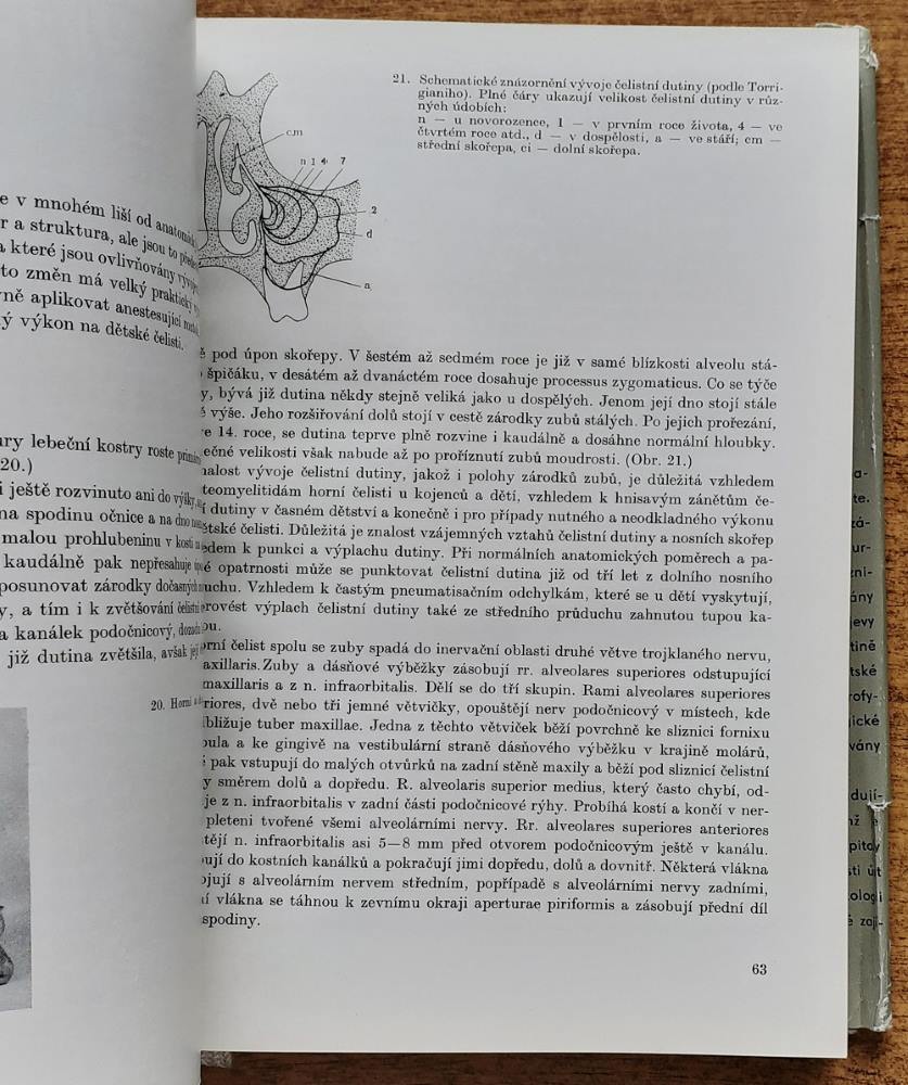 Dětská stomatologie