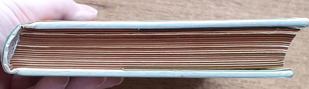 Hra o mladosť / Michael Brodin