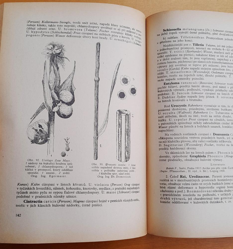 Speciální botanika zemědělská