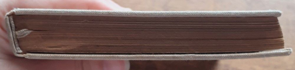 Florentský čarodejník - Leonardo da Vinci