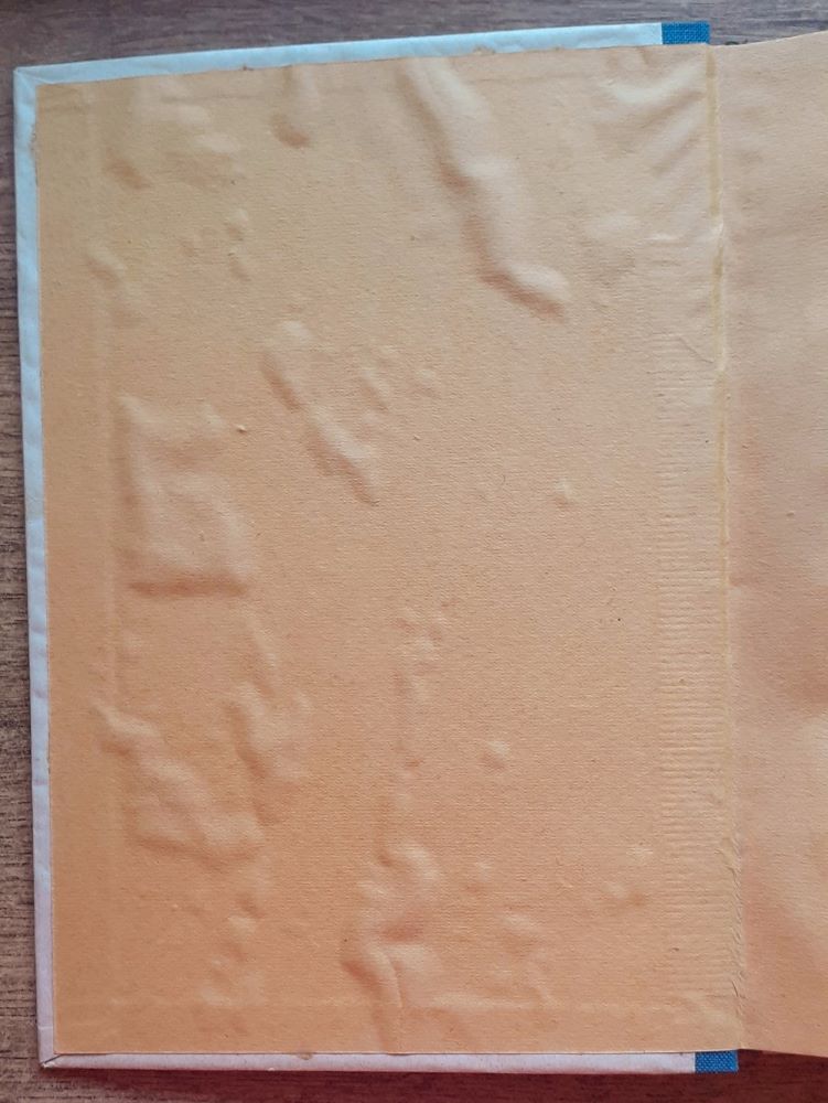 Nepriateľ číslo 1 / Román pre mládež / Knihy pre mládež sväzok 18.