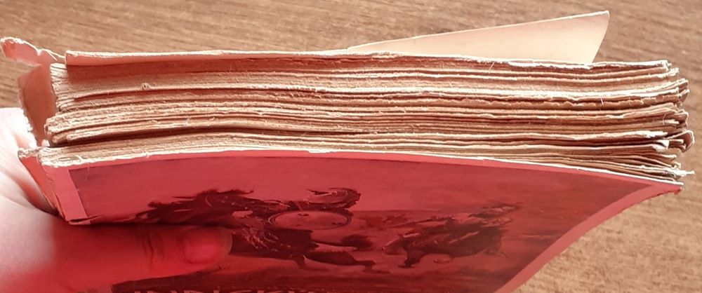 Indický princ / Kniha první / Země a moře vždy vydávají svá tajemství