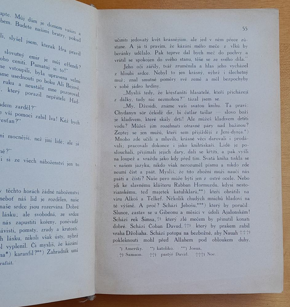 U ctitelú ďábla / Román z cyklu Ve stínu padišaha