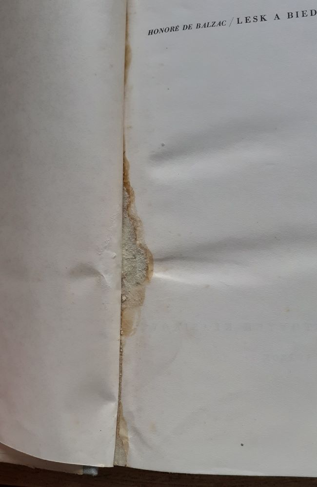 Lesk a bieda kurtizán / Výber z diela 2.