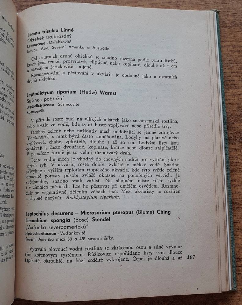 Akvarijní rostliny