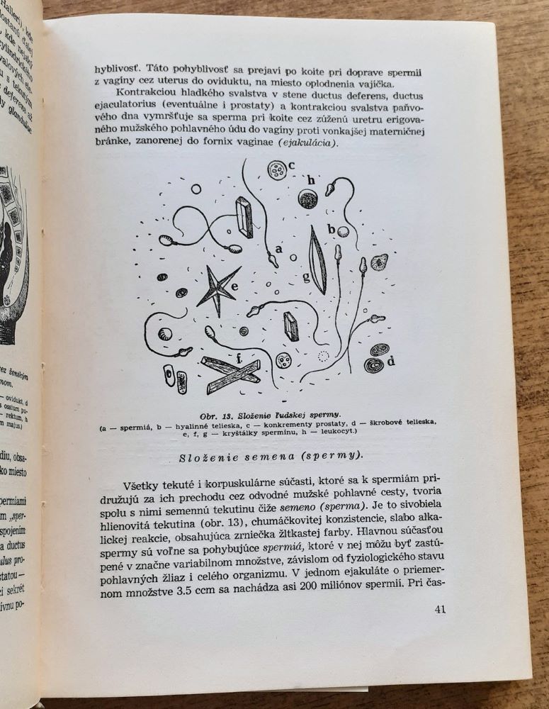 Embryologia človeka