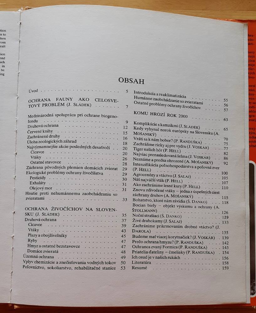 Aby prežili rok 2000