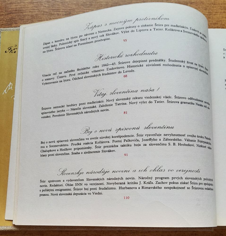 Ľudovít Štúr / Stručná biografia / Náš človek vo svete 9