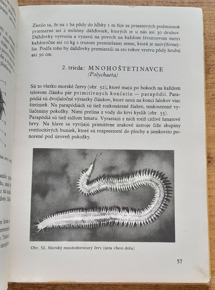 Zoológia 1, 2 / Pre 1. a 2. ročník Stredných všeobecnovzdelávacích škôl