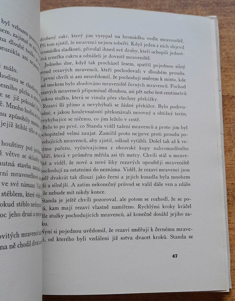 Hoši s Bílé skály