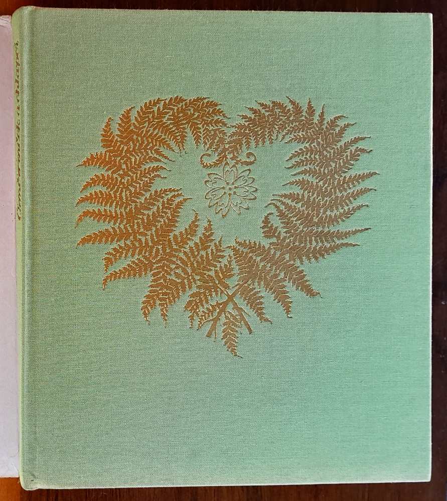 Čimčirinček a chlapci / Rozprávka jedného leta