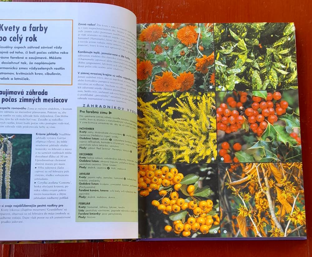 Tajomstvá starého záhradníka