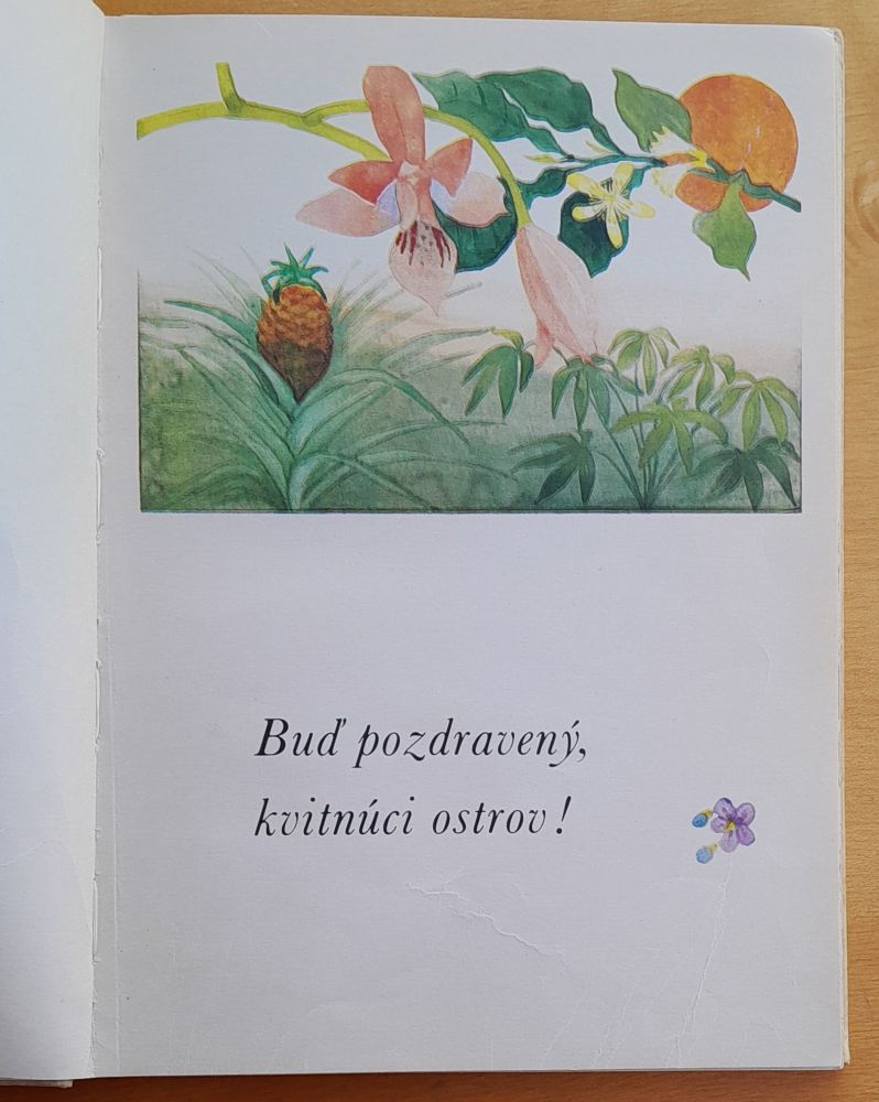 Rozprávky z Ostrova orchideí - Rudo Moric