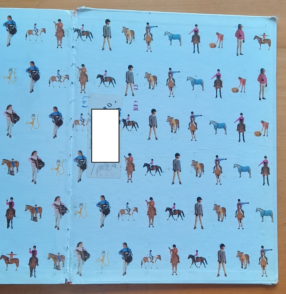 Mladý jazdec / Pre mladých nadšencov jazdenia