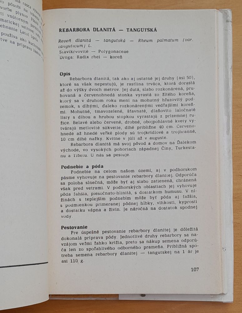 Pestovanie liečivých rastlín na malých plochách