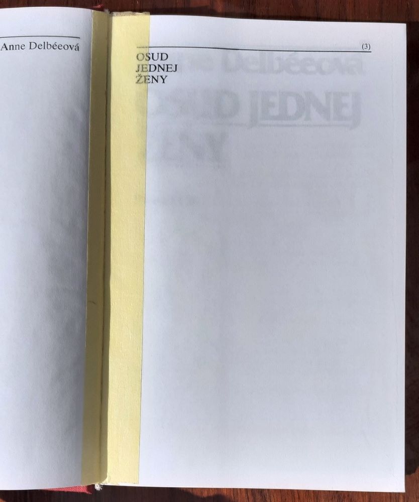 Osud jednej ženy (Camille Claudel - sochárka)