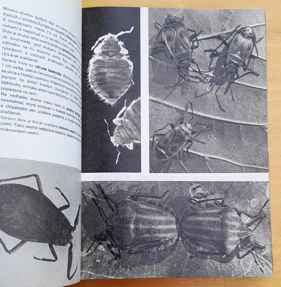 Veľký obrazový atlas zvierat - bohato ilustrovaná